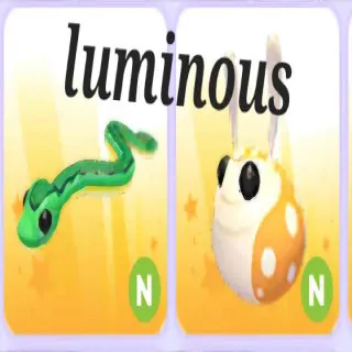 N Garden Snake & Hopbop