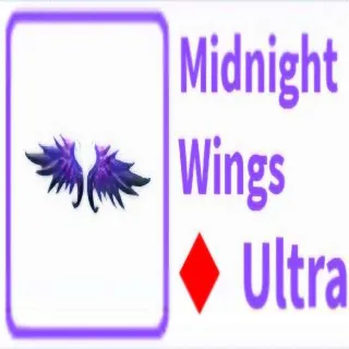 Midnight Wings