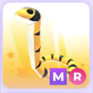 Yellow-lipped Sea Krait