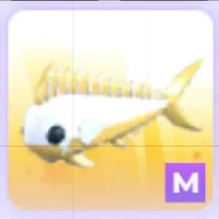 Mega Golden Mahi-Mahi