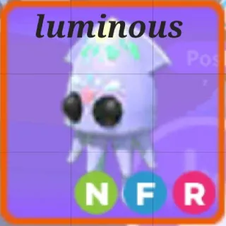 Neon FR Squid