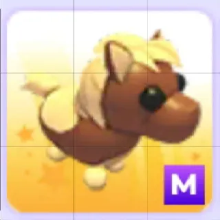 Dark Brown Shetland Pony