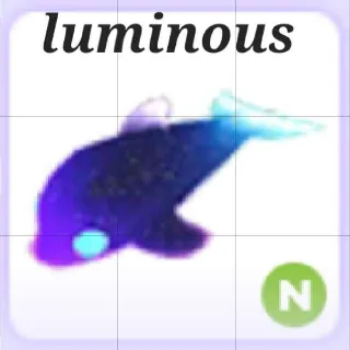 Neon Glormy Dolphin