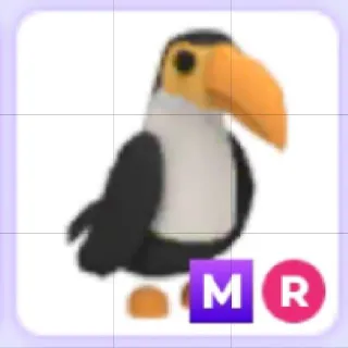 Mega Ride Toucan