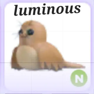 Neon Galapagos Sea Lion