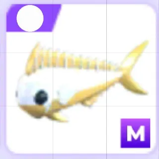 Mega Gold Mahi-Mahi