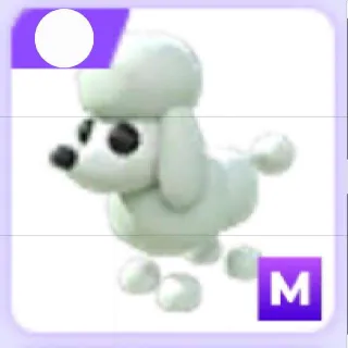 Mega Poodle