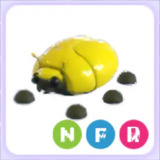 NFR Giant Gold Scarab