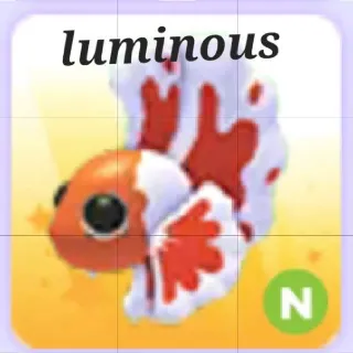 Neon Orange Betta Fish