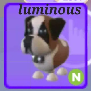 Neon St Bernard