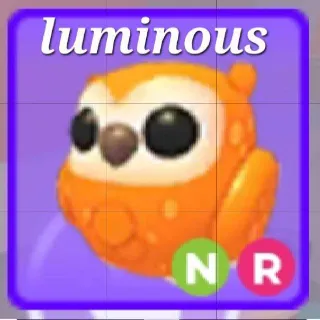 Neon Ride Clementine Owl