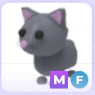 Mega Fly Cat