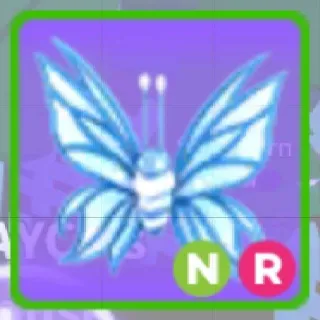 Neon Ride Birthday Butterfly 2024