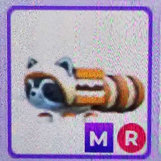 Mega R S'mores Raccoon