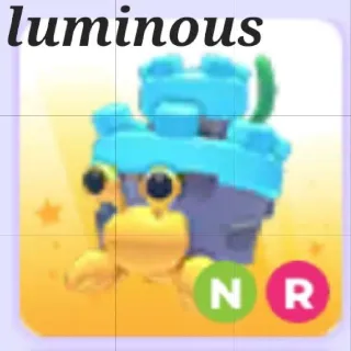 NR Castle Hermit Crab