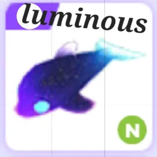 Neon Glormy Dolphin