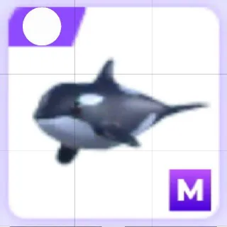Mega Orca