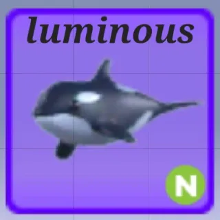Neon Orca