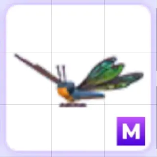 Mega Clubtail Dragonfly