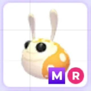 Mega Ride Hopbop