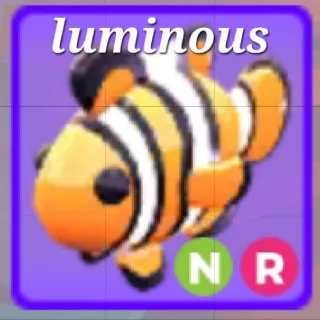 Neon Ride Clownfish