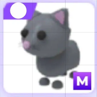 Mega Cat