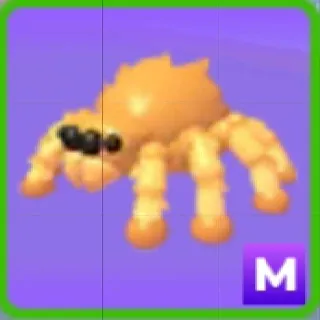 Mega Jumping Spider