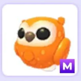 Mega Clementine Owl