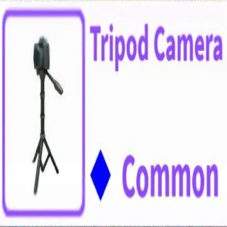 Tripod Camera