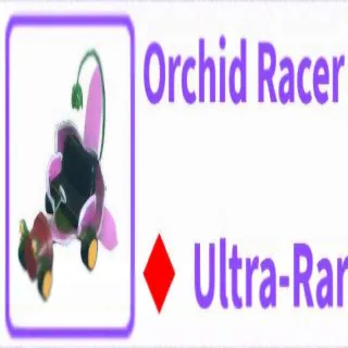 Orchid Racer