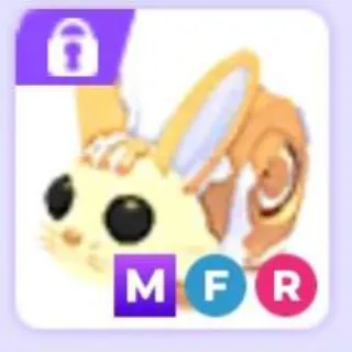 Mega FR Bunny Swirl