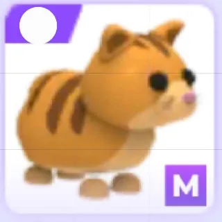 Mega Ginger Cat