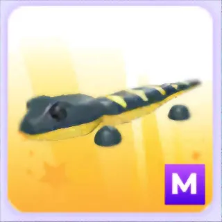 Mega Salamander