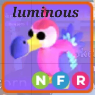 Neon FR Dodo