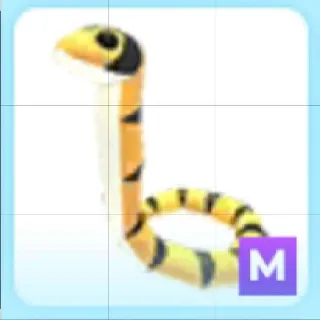 Yellow-lipped Sea Krait