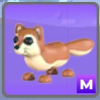 Mega Mongoose