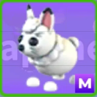 Mega Arctic Hare