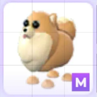 Mega Pomeranian