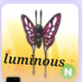 N 2022 Uplift Butterfly