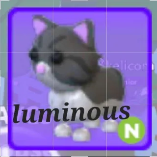 Neon Persian Cat