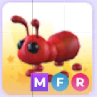 Mega FR Ant