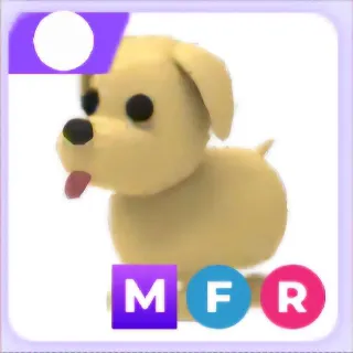 Mega FR Dog