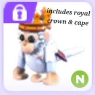N Royal Capuchin Monkey