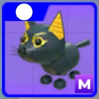 Mega Abyssinian Cat