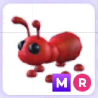 Mega Ride Ant