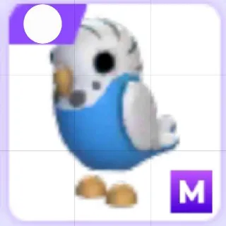 Mega Parakeet