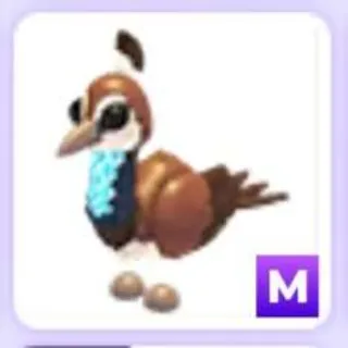 Mega Peahen