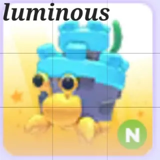 Neon Castle Hermit Crab