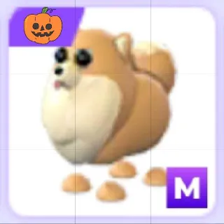 Mega Pomeranian