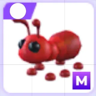 Mega Ant